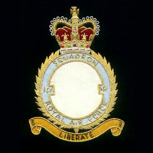 RAF SQD LIBRATE High Quality Lace Embroidered Patch <b>Sew</b>-On Fabric Badge Circular Luxury Design for Garment - Product Image 2