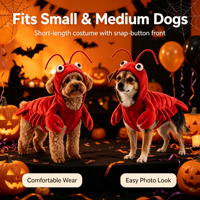 Costume de Homard Rouge 3D Amusant pour Animaux de Compagnie, Tenue de Fête d'Halloween pour Chiens et Chats, Vêtements Chauds Doublés Polaire pour Petits et Moyens Chiens et Chats