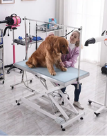 Table de toilettage électrique pour animaux de compagnie MT MEDICAL avec lumière LED, en acier inoxydable, étanche, pour hôpital vétérinaire, animalerie, grand chien