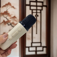 Altavoz Integrado de Audio Portátil K12 Mini, Altavoz Pequeño de Alta Gama para el Hogar, Karaoke, Canto Profesional, Altavoz para Exteriores con 1 Micrófono