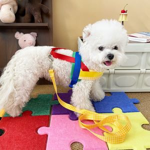 Arnés y Correa para Mascotas con Bloques de Color, Ajustable para Perros Pequeños, Chaleco para Pasear - Product Image 1