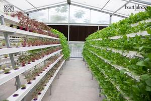 Hydroponic nft Channel สำหรับเรือนกระจก, ติดตั้งง่าย, PVC เกรดอาหาร, ฝาครอบที่ถอดออกได้, ฐานโค้ง, ความจุหนัก - Product Image 6