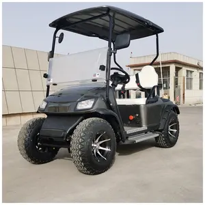 Best Selling Promotional Various Good Quality Electric Golf Cart 2 Seater Club Golf Cart