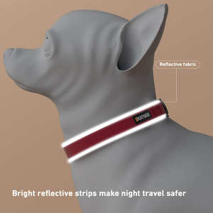 Ensemble de colliers de chien réfléchissants anti-fuite Boucle de verrouillage à anneau en D robuste Collier de chien toutes saisons - Product Image 4