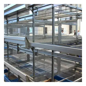 Đầy đủ tự động bé lớp Gà Thịt gà <span class=keywords><strong>brooder</strong></span> Hot mạ kẽm lớp Gà nhỏ lồng cho trang trại gà - Product Image 6