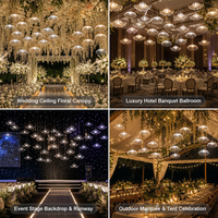 Guirlande lumineuse suspendue en forme d'éventail, pissenlit et feuille de Ginkgo, 10 lumières, pour décoration de mariage, plafond, salle, fenêtre