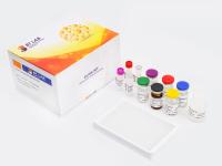 Kit ELISA para Vitamina K2 Humana E2176Hu