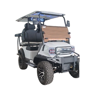 Navette électrique TONGCAI à <span class=keywords><strong>4</strong></span> places, silencieuse et confortable, pour les villages <span class=keywords><strong>de</strong></span> retraite et les centres <span class=keywords><strong>de</strong></span> soins aux personnes âgées - Product Image 4