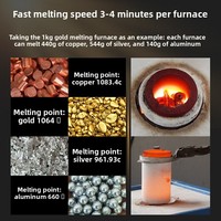 Fourneau de fusion électrique industriel pour l'or, le platine, le cuivre, machine de fusion rapide, fourneau à creuset portable 5 kg 3 kg, fusion en 3-5 minutes