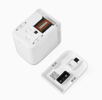 Imprimante jet d'encre portable intelligente Handjet Mini Batch pour codage de date d'expiration sur tissu et vinyle couleur