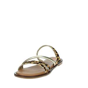 Sandalias Planas para Mujer Porronet, Color Marrón Dorado con Estampado de Leopardo, Zapatos de Verano con Tiras - Product Image 6
