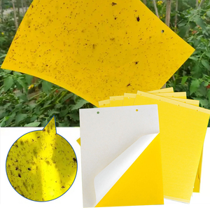 Piège à colle double face imperméable jaune pour sol irrégulier, pour le contrôle des insectes volants et des plantes vertes - Product Image 6