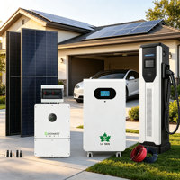Kit Solaire à Roues pour Montage au Sol, Banque de Batteries au Lithium Extensible, Alimentation Hors Réseau pour Maison et Ferme