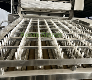 Máquina Peladora y Clasificadora de Langostas, Camarones y Langostinos Frescos/Máquina Peladora de Camarones Blancos/Máquina Peladora de Langostas - Product Image 5