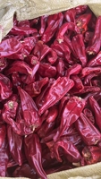 Piment rouge séché entier AD Yidu, paprika, épice sans additifs, traçable pour le marché éthiopien