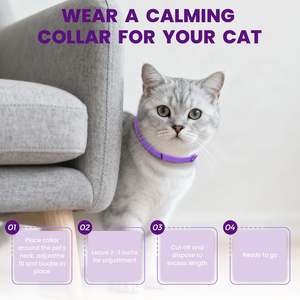 Collier apaisant pour chats, soulage l'anxiété, le stress et la séparation, avec phéromones, flexible et réglable - Product Image 5