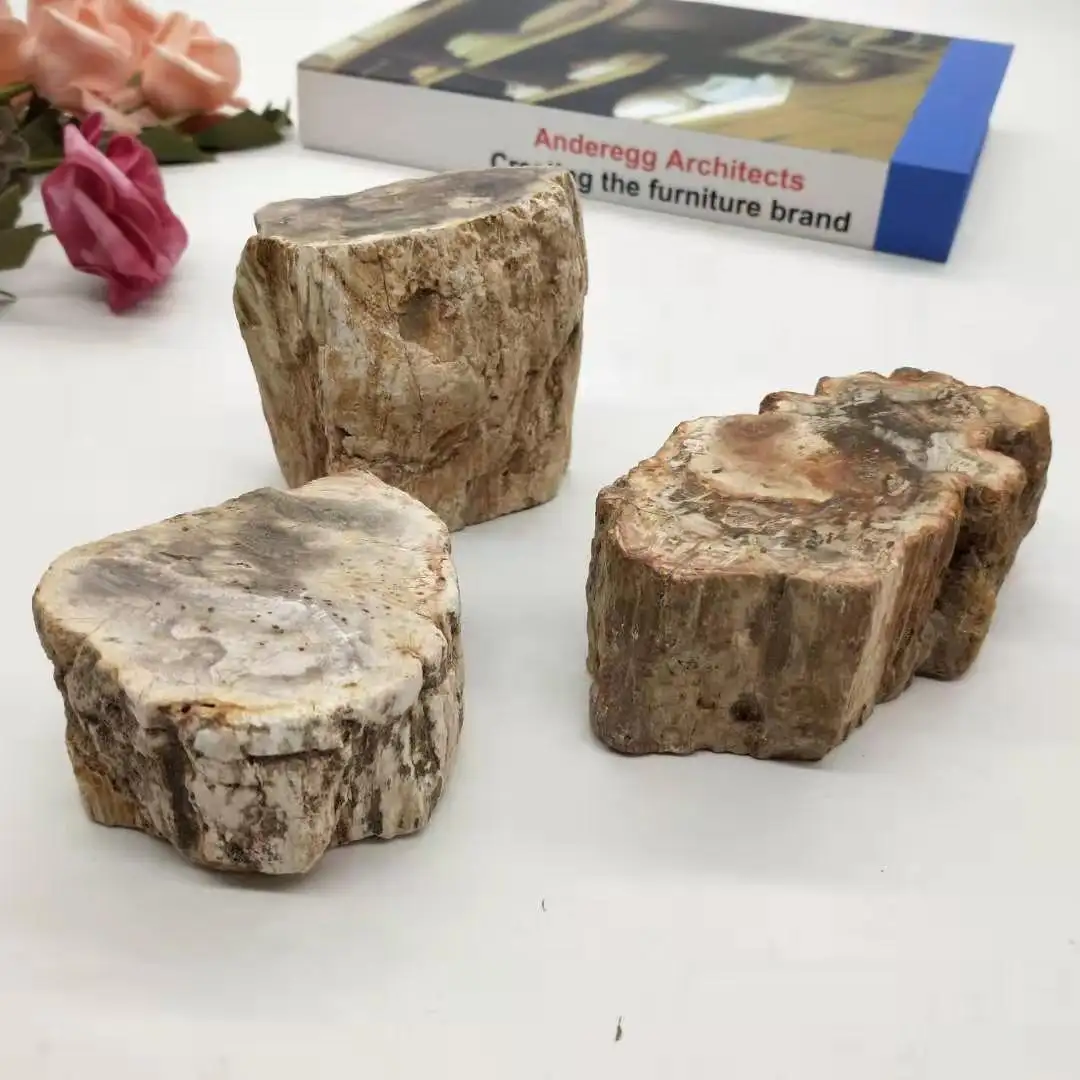 प्राकृतिक पॉलिश लकड़ी जीवाश्म पत्थर की पटिया के लिए किसी न किसी पत्थर टुकड़ा नमूना लकड़ी टुकड़ा फेंगशुई सजावट