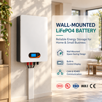 Batterie lithium 48V 100Ah 200Ah, batterie de stockage d'énergie domestique 51.2V 10Kw, montage mural, batterie hybride Lifepo4, batterie solaire