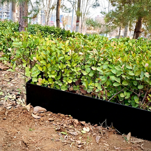6 Pack <b>Black</b> 8-Inch Rectangle Steel Garden Bed <b>Edging</b> with Latches Sturdy Border for Outdoor Flower Beds and Lawn Use - Product Image 1