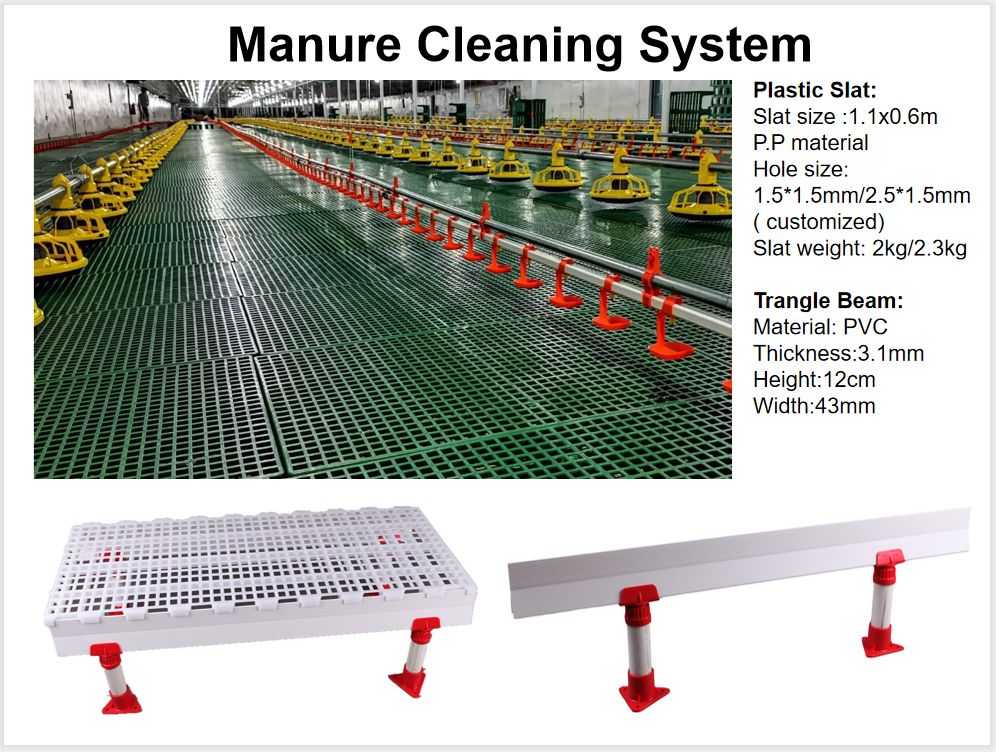 45-65 broiler Chicken Breeding Equipment HX Chicken Feed System