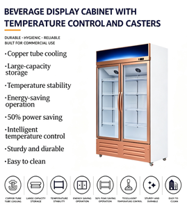 Réfrigérateur commercial vertical à double porte vitrée pour boissons, avec éclairage LED, pour supermarché et <span class=keywords><strong>pub</strong></span> - Product Image 1