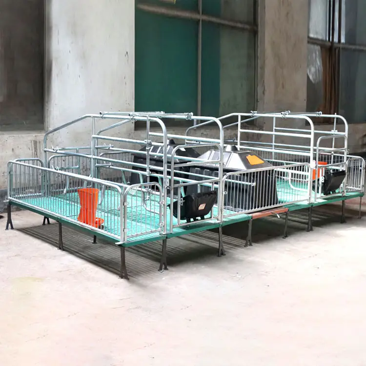 Piggery Equipment Farm Pig Breeding Cage Pig Farrowing Crate