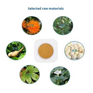 1 boîte/10 patchs patch contre le mal des transports extrait de plantes continu respirant pour la peau doux confort patch contre le mal des transports - Product Image 5