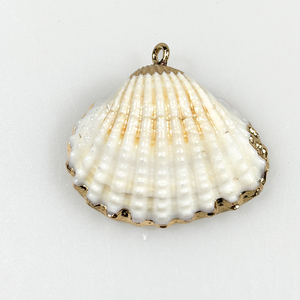 Conchas de concha naturales bohemias para hacer joyas DIY, colgantes de concha de <span class=keywords><strong>Kauri</strong></span> 3D, collares inspirados en la playa y accesorios para llaveros - Product Image 5