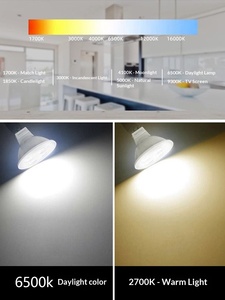 Lámpara Halógena <span class=keywords><strong>Philips</strong></span> MR16 GU5.3 12V 50W 2000 Horas - Product Image 5