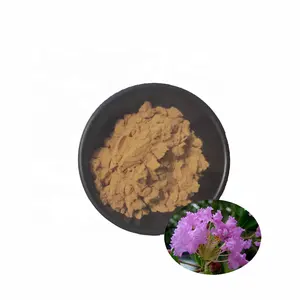 Banaba Leaf Extract Powder Organic Corosolic Acid 1% 2% 3% 4% 5% 10% Banaba Corosolic Acid