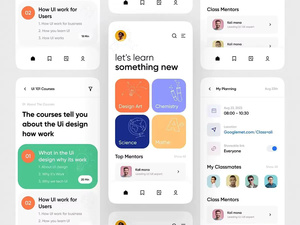 Servicio de Coaching para Kits de UI de Aplicaciones Móviles, Plantilla de Diseño, Maquetas de Pantalla Responsivas para Android iOS - Product Image 4