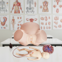 Simulador de Entrenamiento Obstétrico para Partos Difíciles, Modelo de PVC con Certificación CE ISO para Escuelas de Medicina y Obstetricia