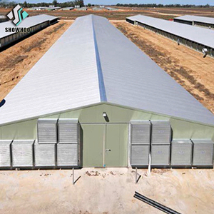 Design della <span class=keywords><strong>casa</strong></span> di polli da allevamento di pollame assemblato prefabbricato - Product Image 4