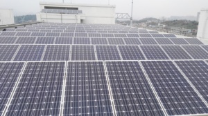 Năng lượng mặt trời trên lưới gắn hệ thống năng lượng mặt trời hệ thống nhà máy điện 1kw 10KW 100kw bảng điều khiển năng lượng mặt trời hệ thống quang điện - Product Image 2