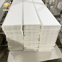 Panneaux de Plafond en PVC Modernes Quadrillés, Produit Phare, Ignifuges et Résistants à l'Eau