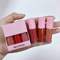 Créez votre propre logo, maquillage, kits de rouge à lèvres liquide mat 3 pièces, ensemble de gloss à lèvres avec logo personnalisé, marque privée