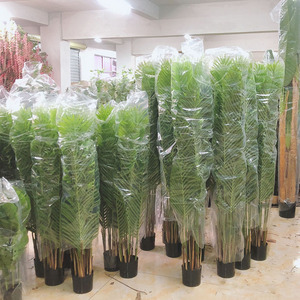 Golin Hot Bán Phượng cây cọ giả cây nhân tạo kentia carton nhựa lá thân thiện với môi trường 1.2-2.4m trong nhà/ngoài trời - Product Image 1