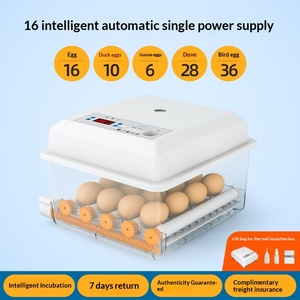 Incubateur d'œufs domestique intelligent entièrement automatique pour le commerce transfrontalier, avec retournement et arrosage automatiques, <span class=keywords><strong>de</strong></span> forme rectangulaire - Product Image 6