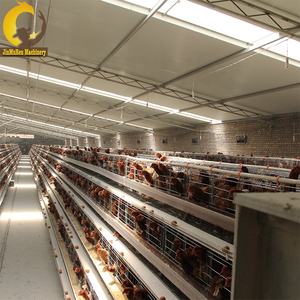 Jinmuren tavuk <span class=keywords><strong>coop</strong></span> ve çalışma tel örgü çiftlik otomatik yumurta tabakası kafes tarım makineleri ve ekipmanları - Product Image 6
