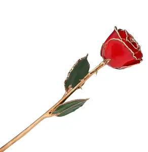 永远的玫瑰真正的红玫瑰，真正的一种玫瑰手蘸漆和金色定制接受