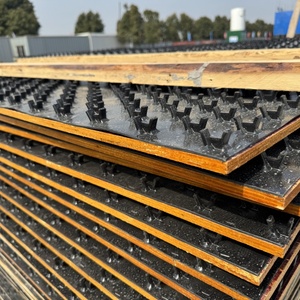 고품질 HDPE 플라스틱 콘크리트 보호 라이너 다점 고정 배수 정원-공장 도매 인기 상품 60 - Product Image 2