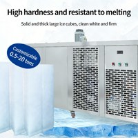 Machine à glaçons automatique industrielle commerciale grande et petite taille pour la fabrication de blocs de glace, congélateur à briques pour entreprises au Nigeria, vendue à Lagos et en Zambie