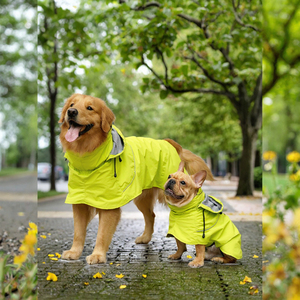 Dog Waterproof <strong>Raincoat</strong> Poncho for Small/Large Dogs Solid Pattern XS Size Eco-Friendly <strong>Nylon</strong> Material - Product Image 3