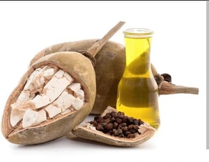 Graines de baobab zambien séchées en vrac, brutes, pour ingrédients cosmétiques, usage agricole et plantation - Product Image 1