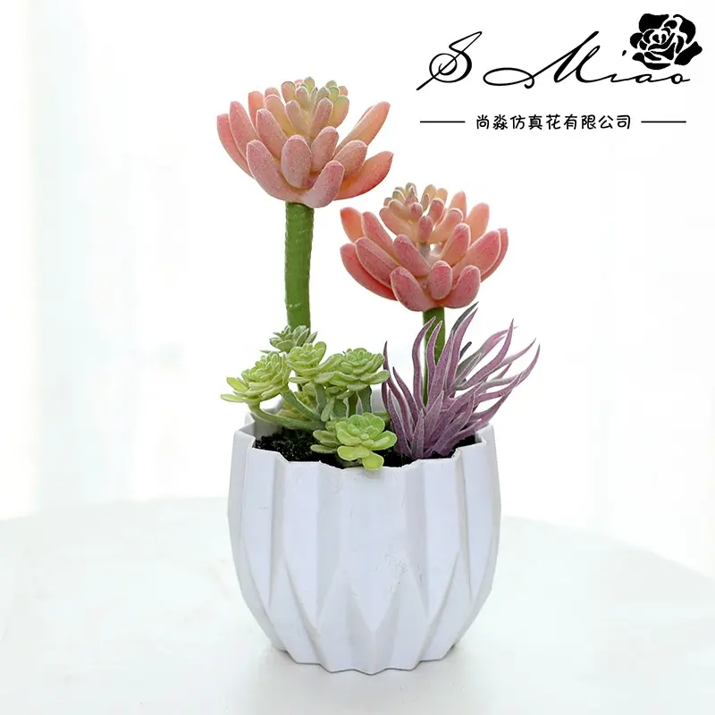 Color artificial succulents and white plastic pot bonsai creative ornaments