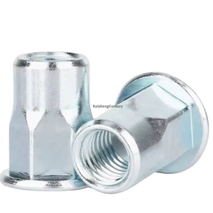 Tuerca remachable ciega de zinc azul y blanca con cabezas planas, cabezas tipo ram y tapas de remache cortas y extendidas de semisechúpeta. - Product Image 1
