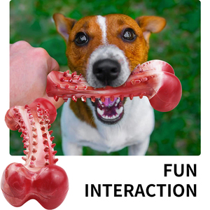 Stokta/özel sürdürülebilir üretici güçlü komik sert chew yıkılmaz köpek oyuncak kemik kauçuk agresif <span class=keywords><strong>chewers</strong></span> için - Product Image 5