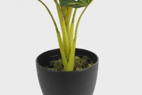 Highly Simulation Artificial plants Decorative Bonsai real touch 65cm18 Leaves Monstera Artificial Tree