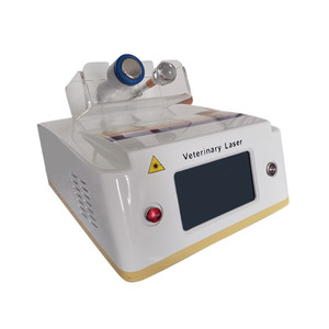 Láser de diodo de 980 nm uso veterinario dispositivo de terapia con láser frío para el alivio del dolor del perro / gato - Product Image 4