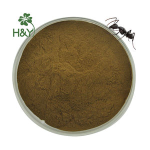 도매 최고 품질 Polyrhachi Vicina 로저 추출물 분말 검은 개미 추출물 분말 - Product Image 3